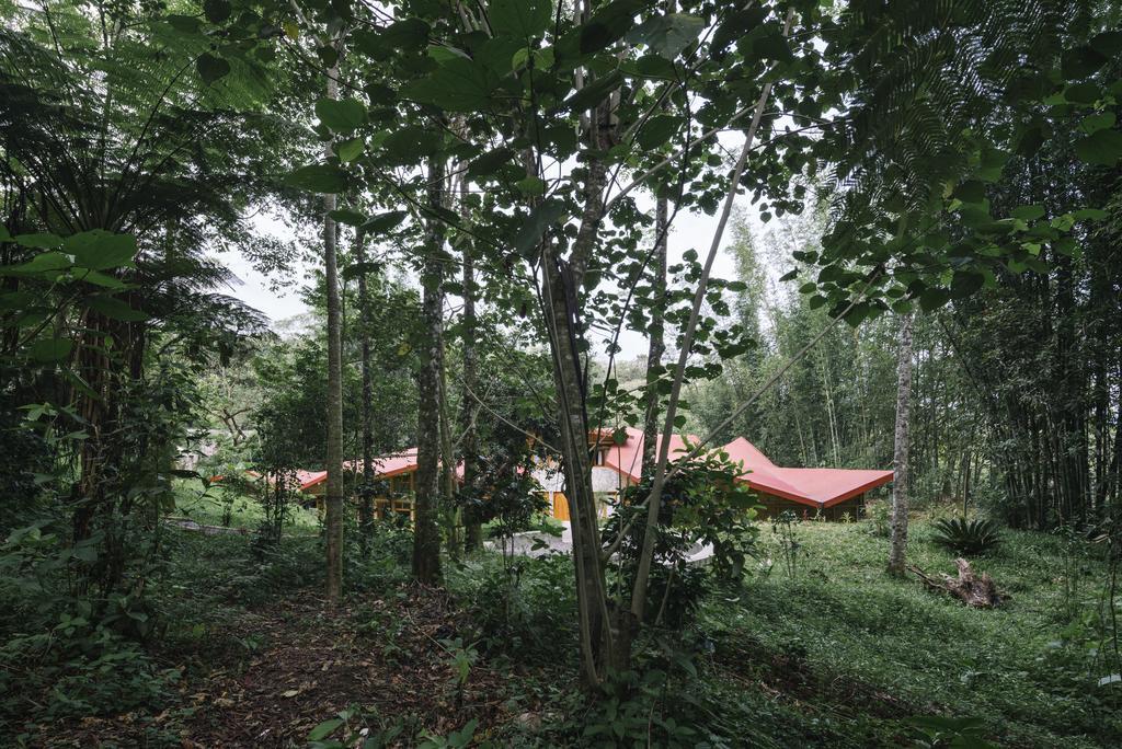 Hostal Tosepan Kali Cuetzalán del Progreso Exteriér fotografie
